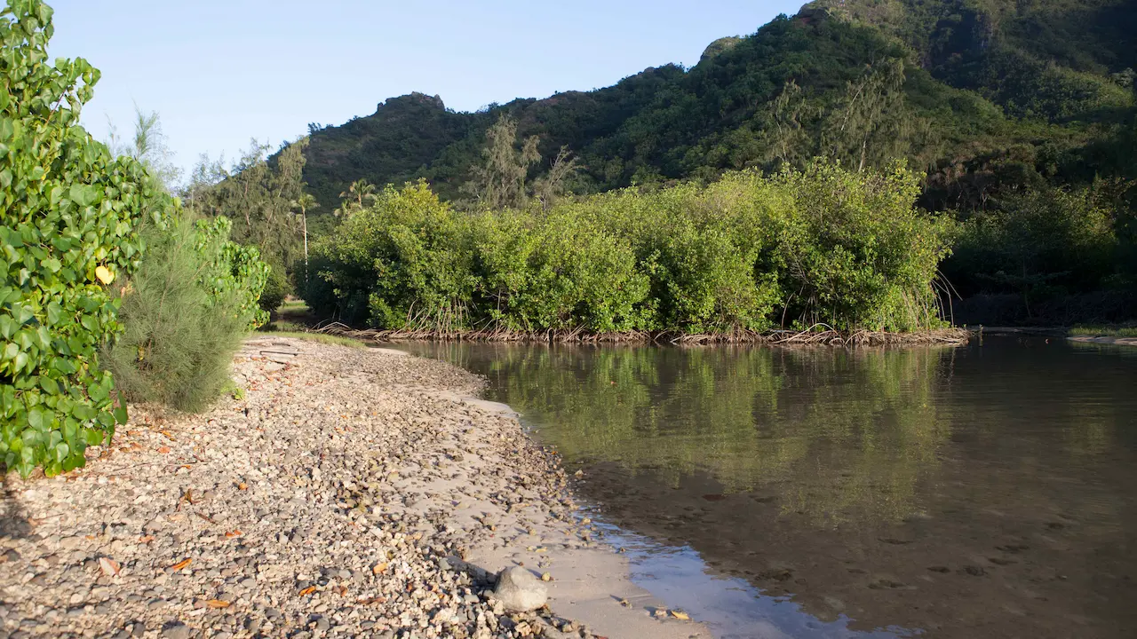 Rocky shore on the southeast edge of the Huilua Fishpond.