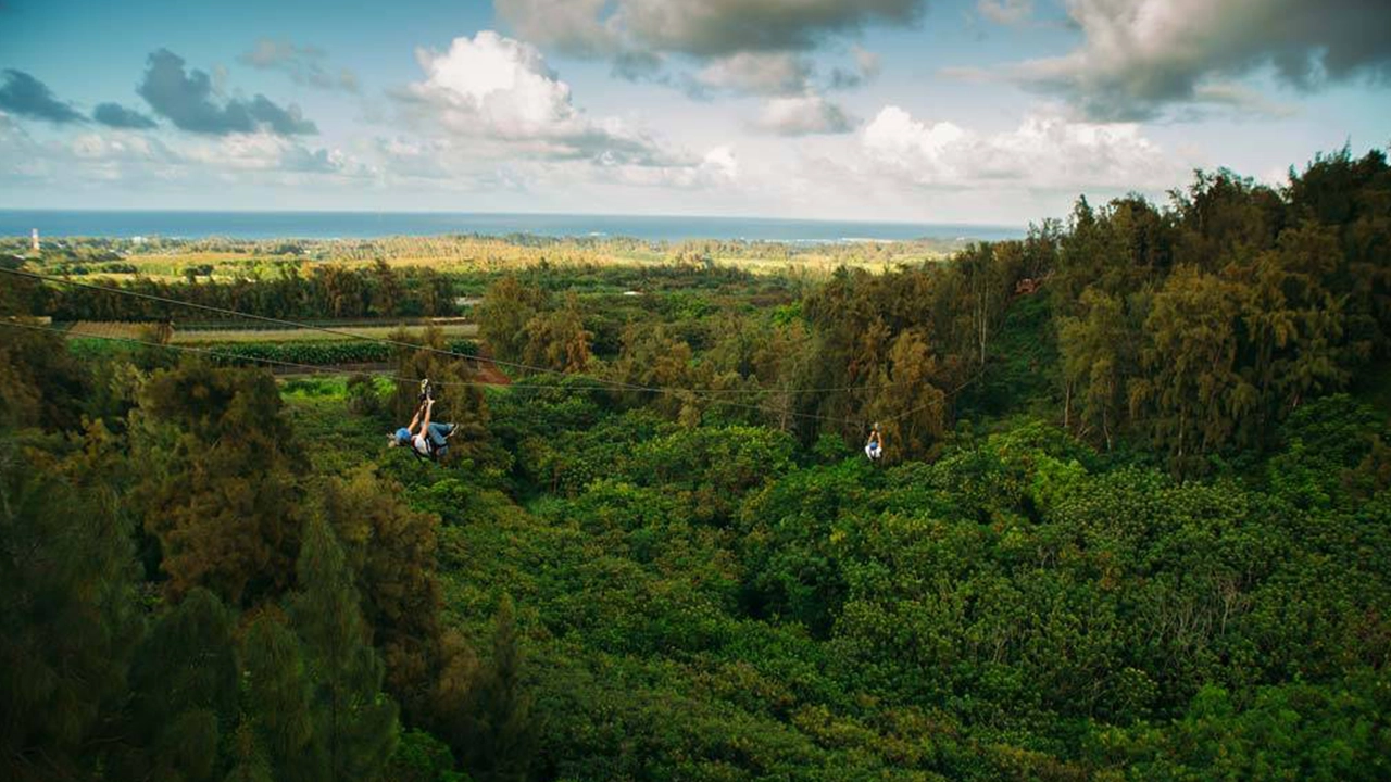 People in the distance attached to metal ziplines as they zoom down towards an ocean view.