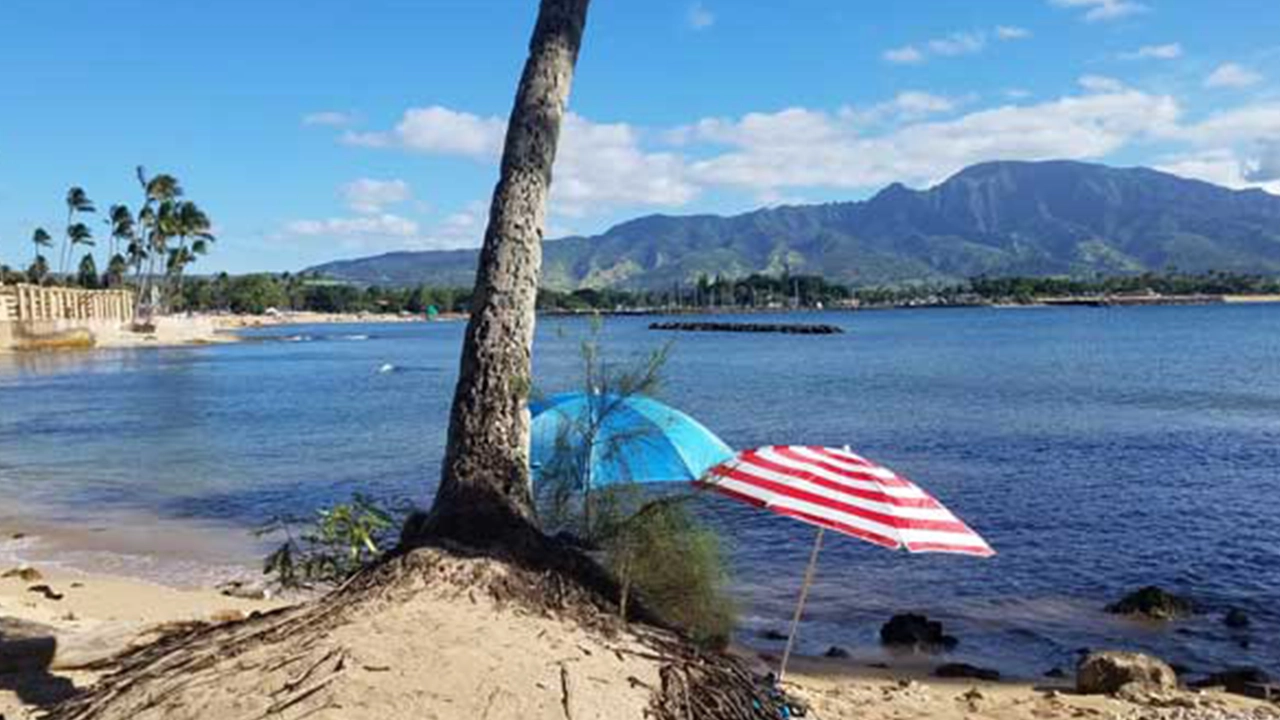 Check out the view off Pua&rsquo;ena Point looking towards the shoreline and the hip town of Halewai.