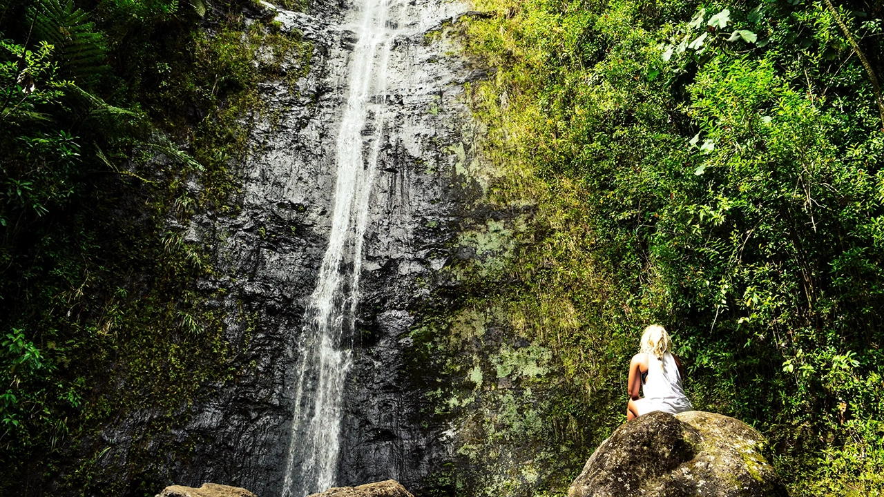 A peaceful moment at Mānoa Falls, an Instagrammable spot in Oʻahu.