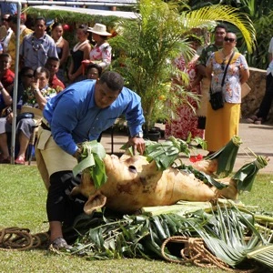 A whole pig on top of leaves, being prepared to be roasted in front of a crowd.